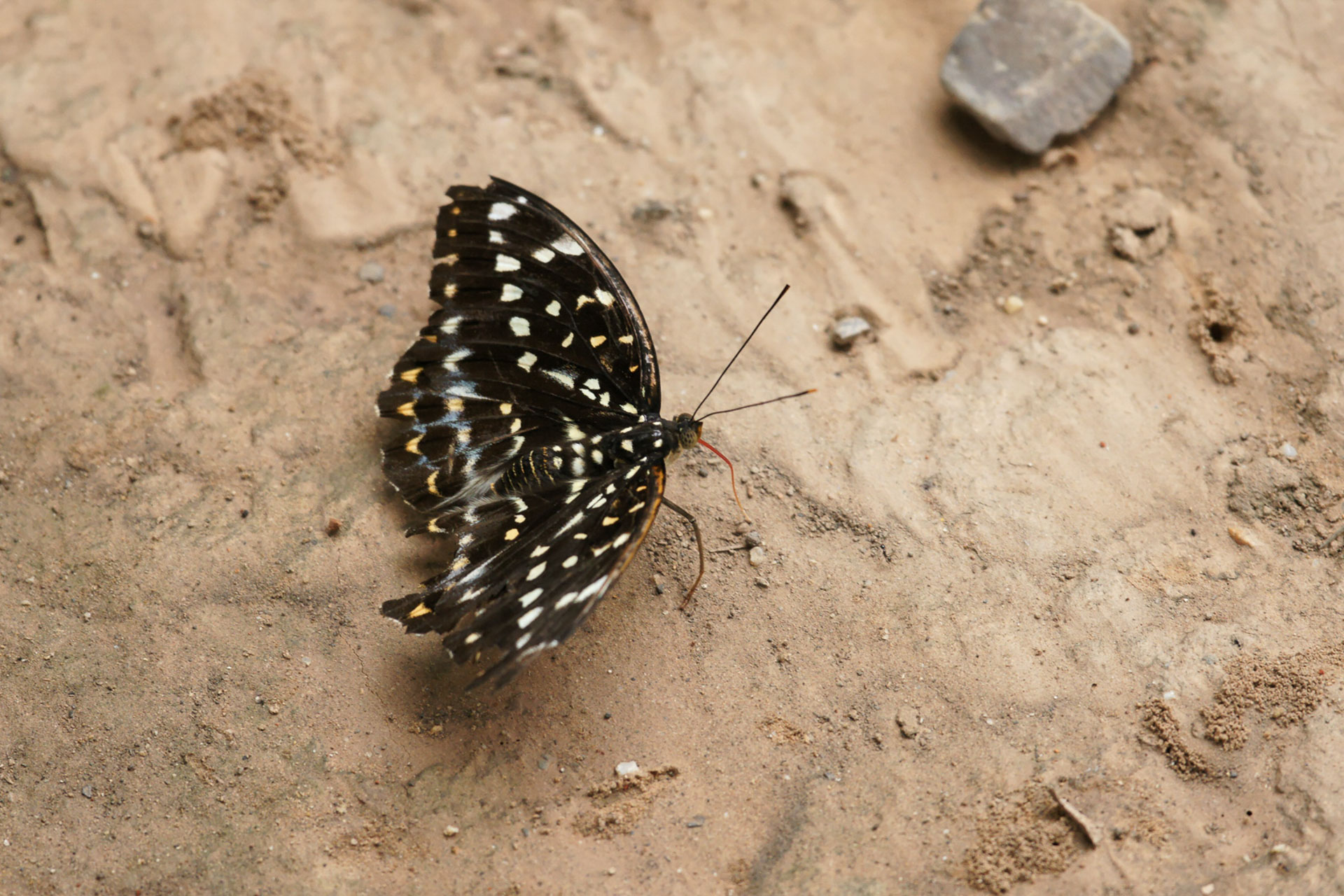 Wanderung nahe Luang Prabang